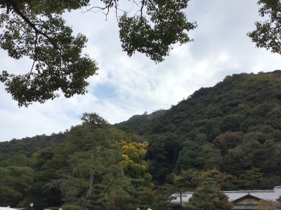 金華山登山🏔🏯 | 日野保育園