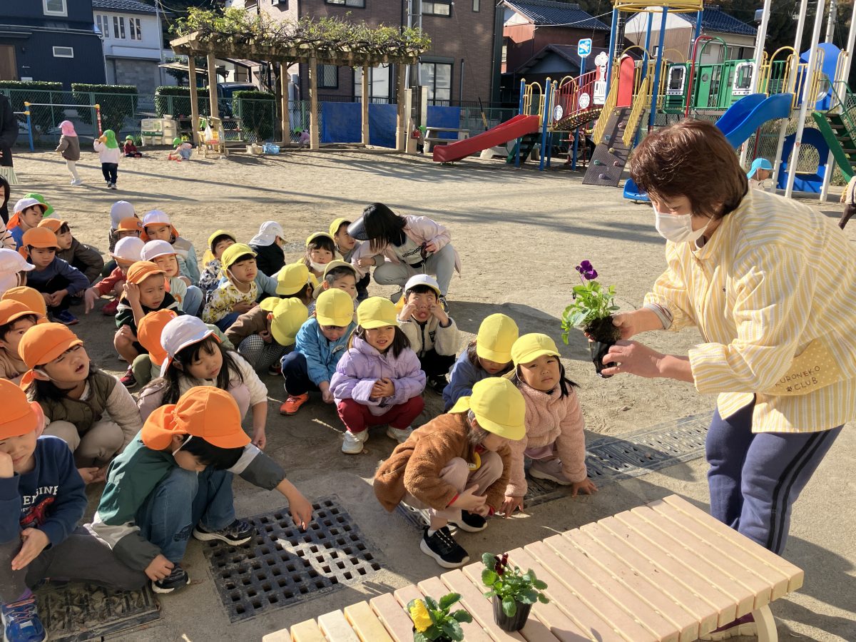 パンジー植えたよ | 長森北保育園