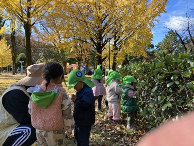 初冬、野一色公園の一日　ひよこ組　公園のかわいい妖精編 | 長森北保育園